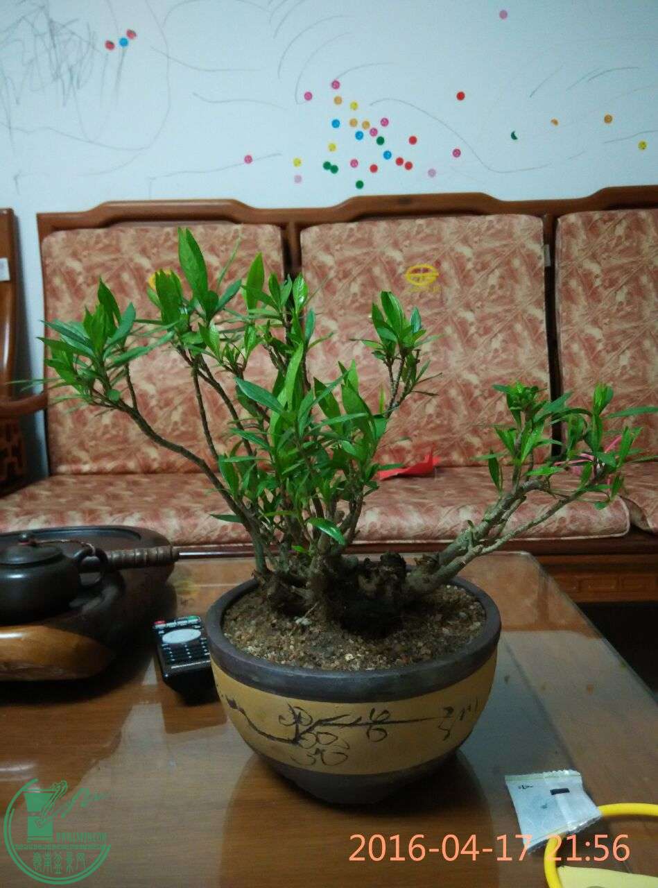QQͼƬ20160417224438.jpg