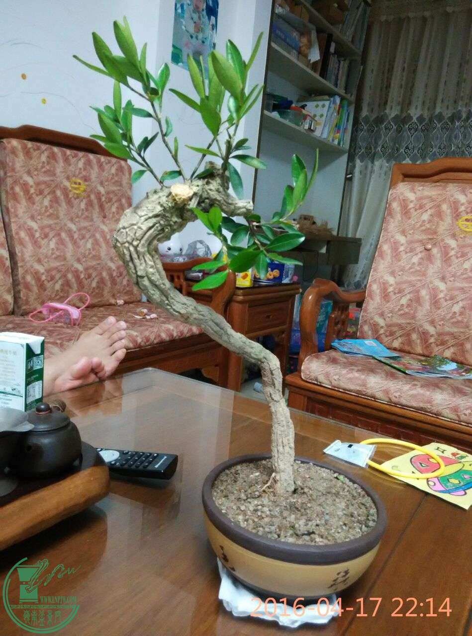 QQͼƬ20160417224442.jpg