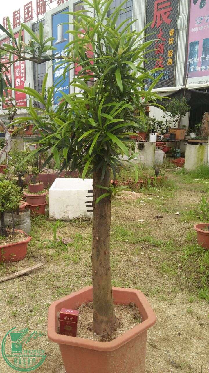 QQͼƬ20160418192642.jpg