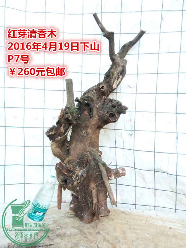 QQͼƬ20160419200733_.jpg
