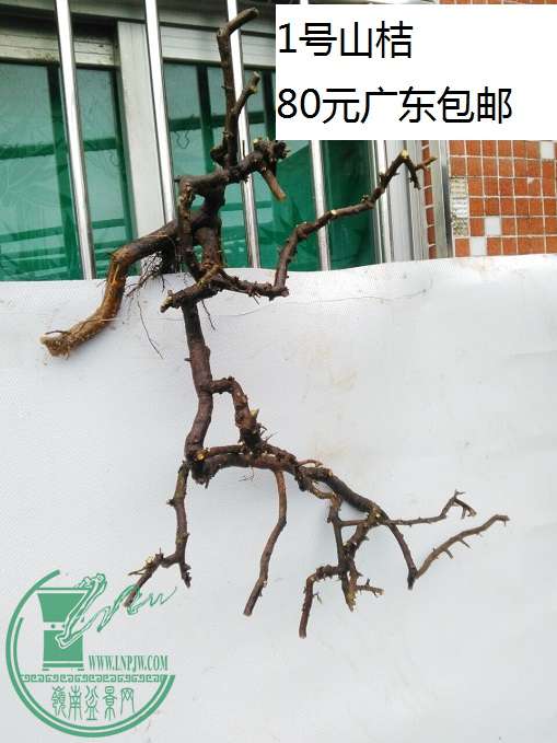 QQͼƬ20160419195830.jpg