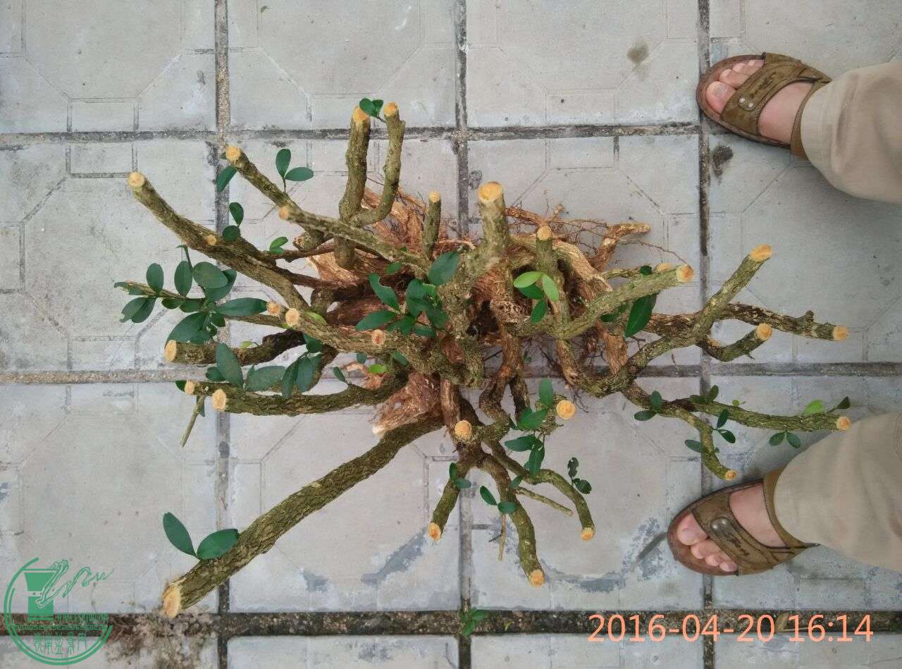 QQͼƬ20160420174635.jpg