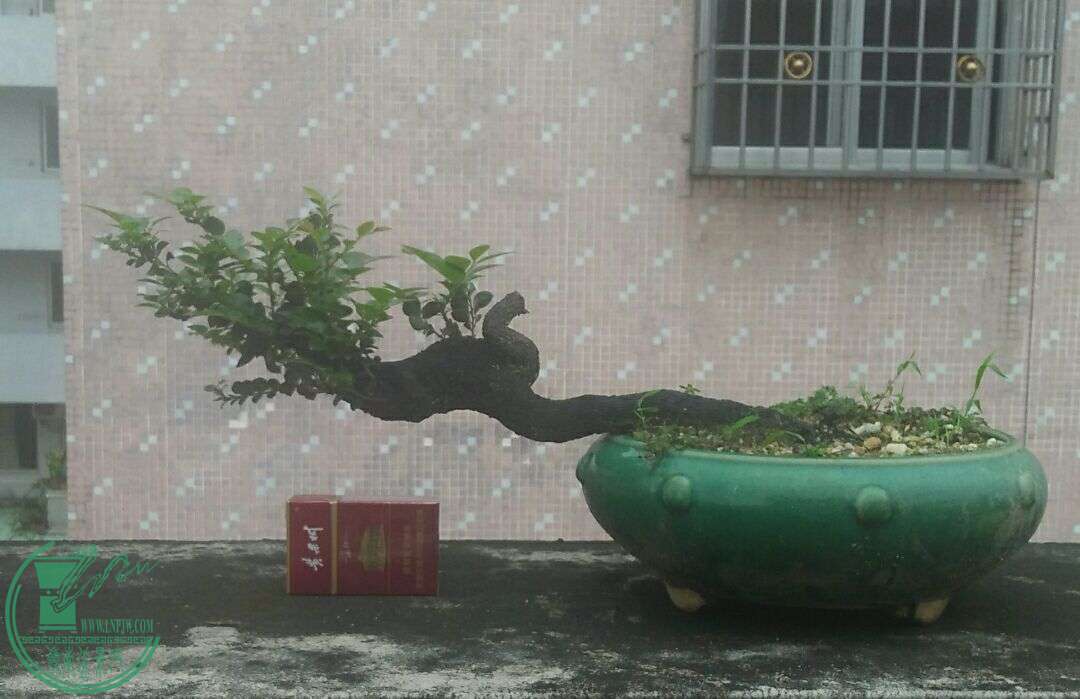 QQͼƬ20160420193638.jpg