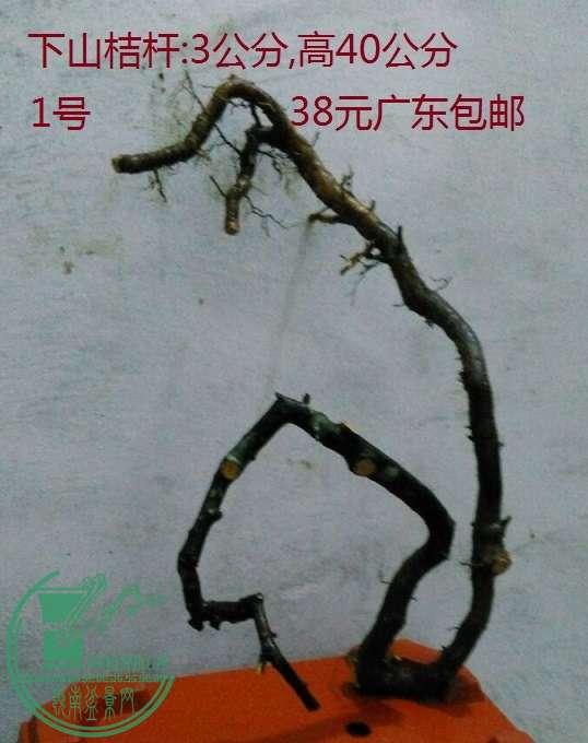 QQͼƬ20160420211436.jpg