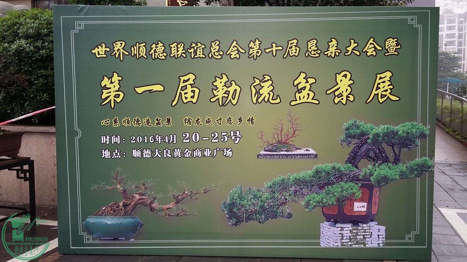 1048939451.jpg