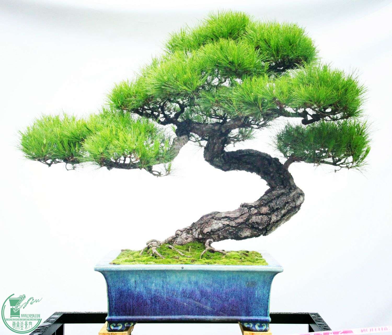 17顢ɽIMG_8689_.jpg