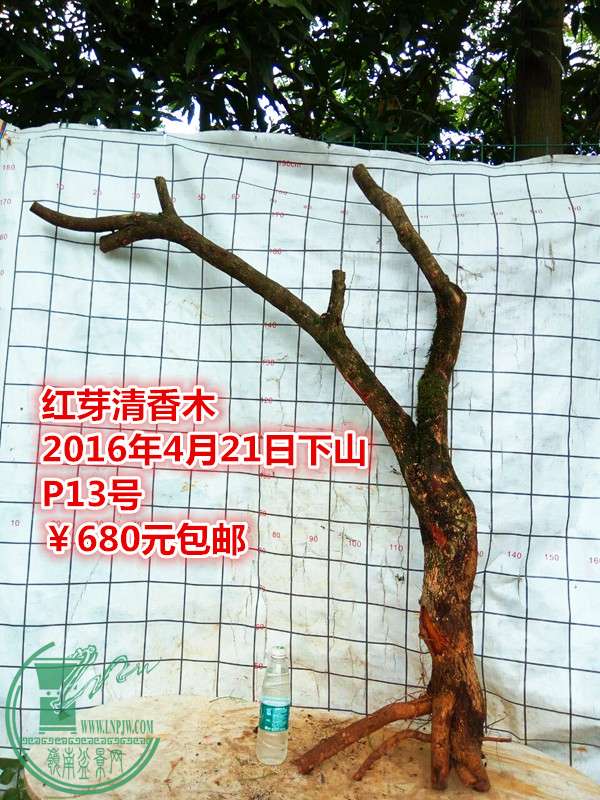 QQͼƬ20160421211728_.jpg