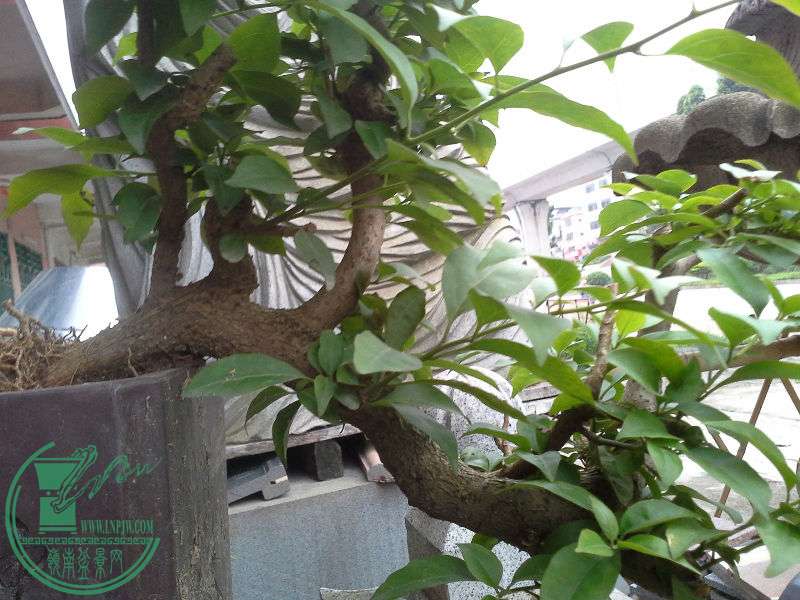 20160423_063551.jpg