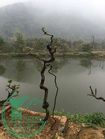辰ƬIMG_2493.JPG