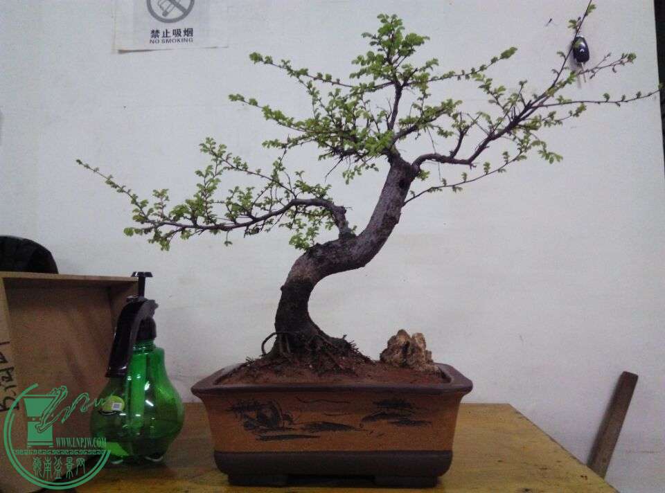 QQͼƬ20160425200128.jpg