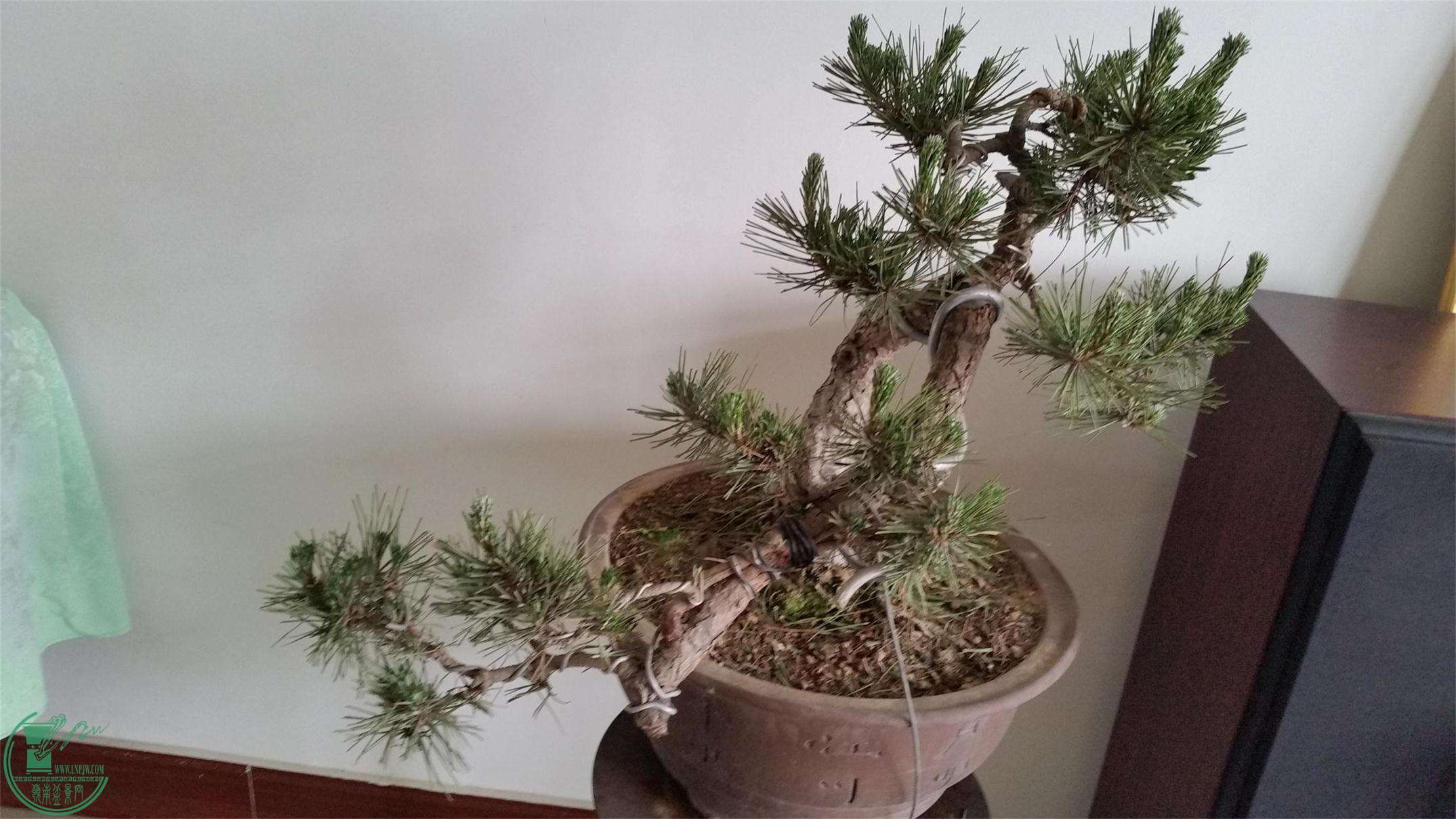 20160422_162054.jpg