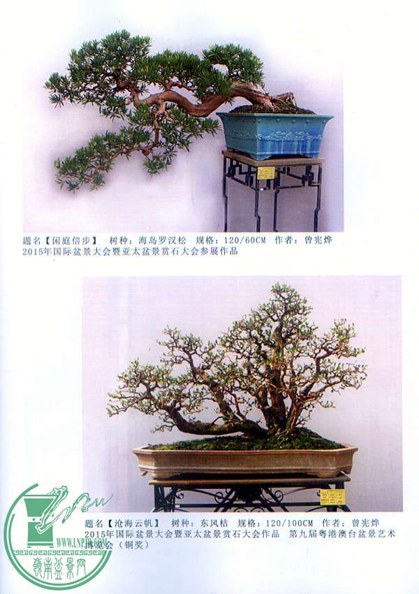 δ-2.jpg