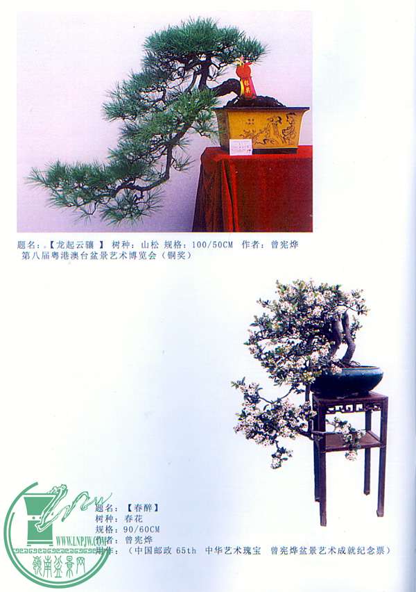 δ-3.jpg