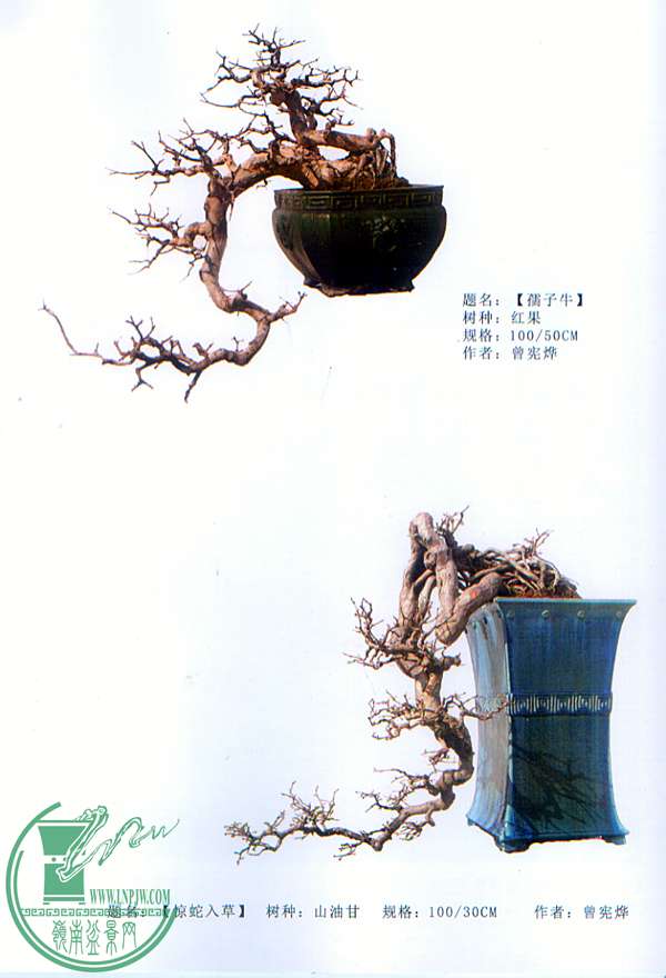 δ-4.jpg