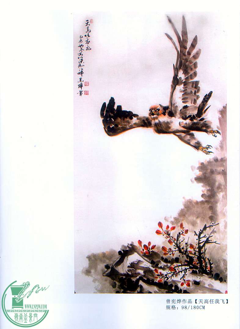 16.jpg