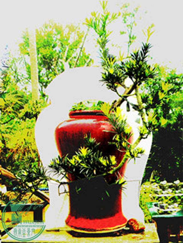 DSCN2742.jpg