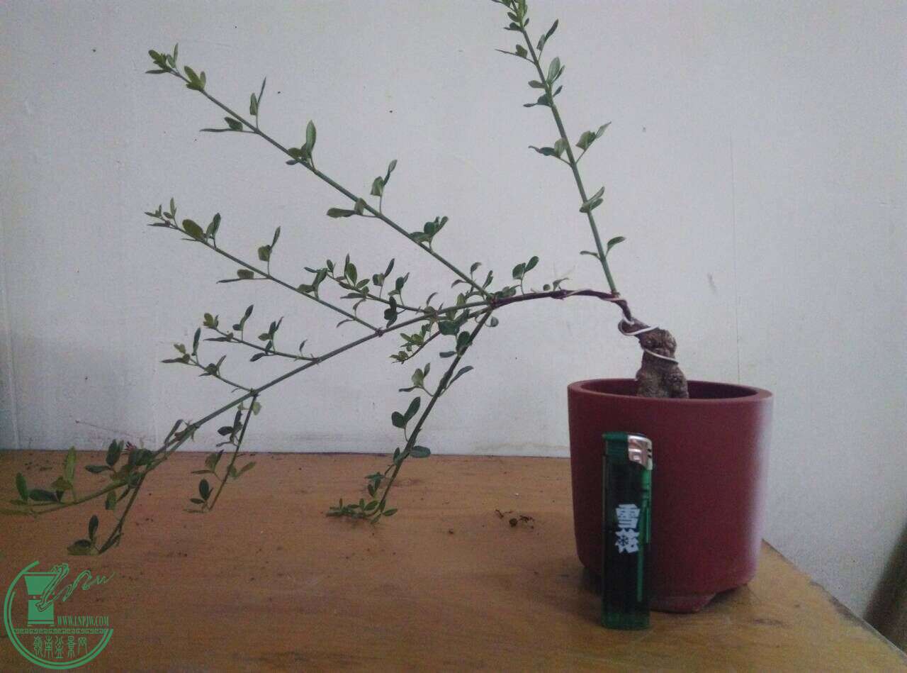 QQͼƬ20160428155500.jpg