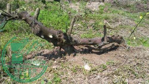 img_20160327_115924[1].jpg