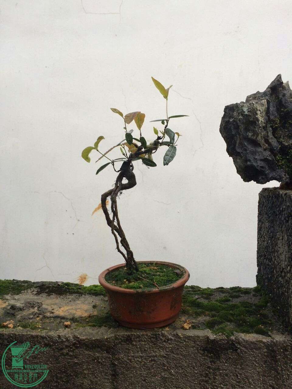 QQͼƬ20160429192629.jpg