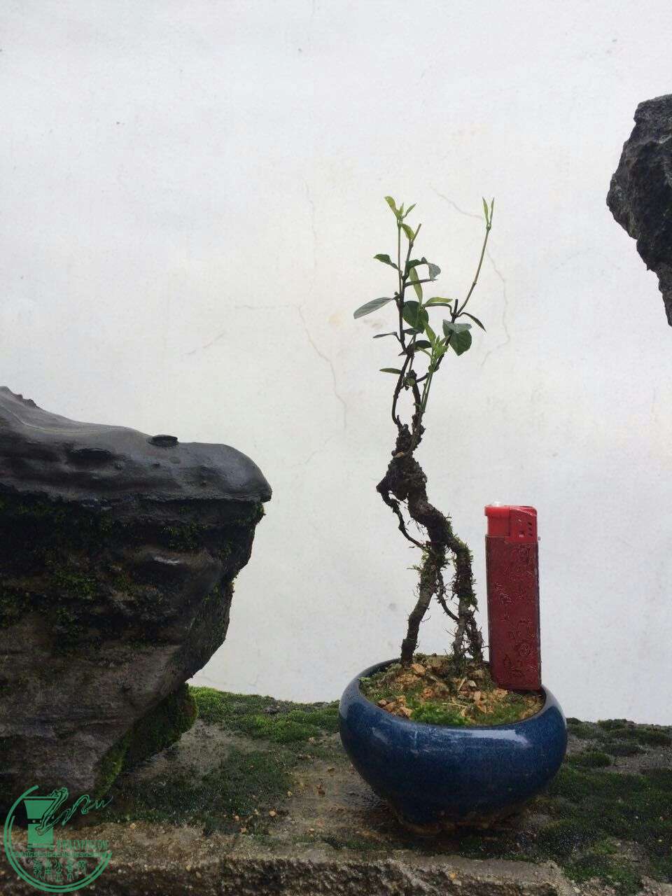 QQͼƬ20160429194403.jpg