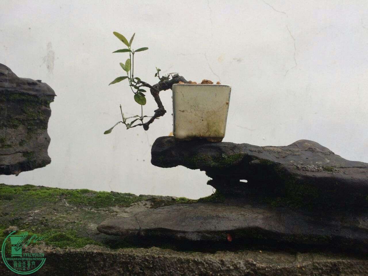 QQͼƬ20160429192711.jpg