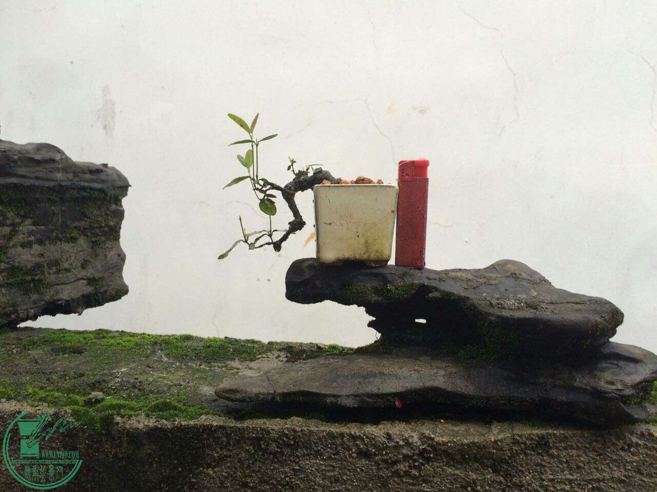 QQͼƬ20160429192721.jpg