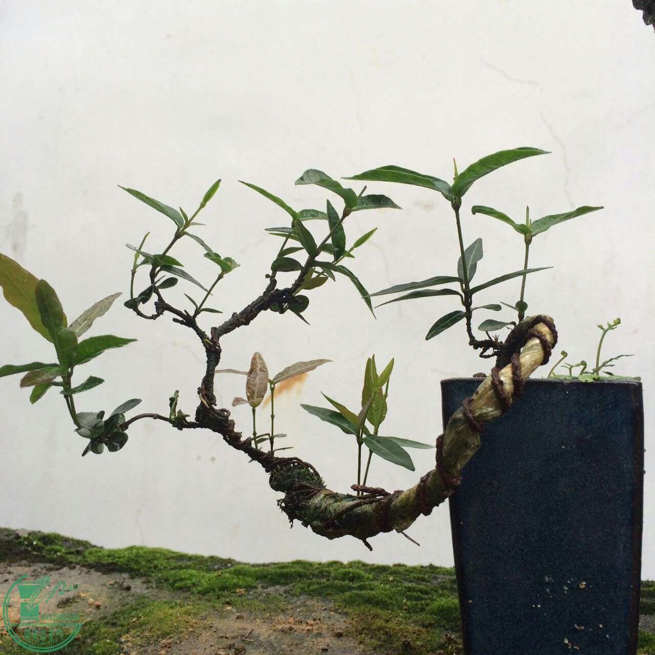 QQͼƬ20160429192757.jpg