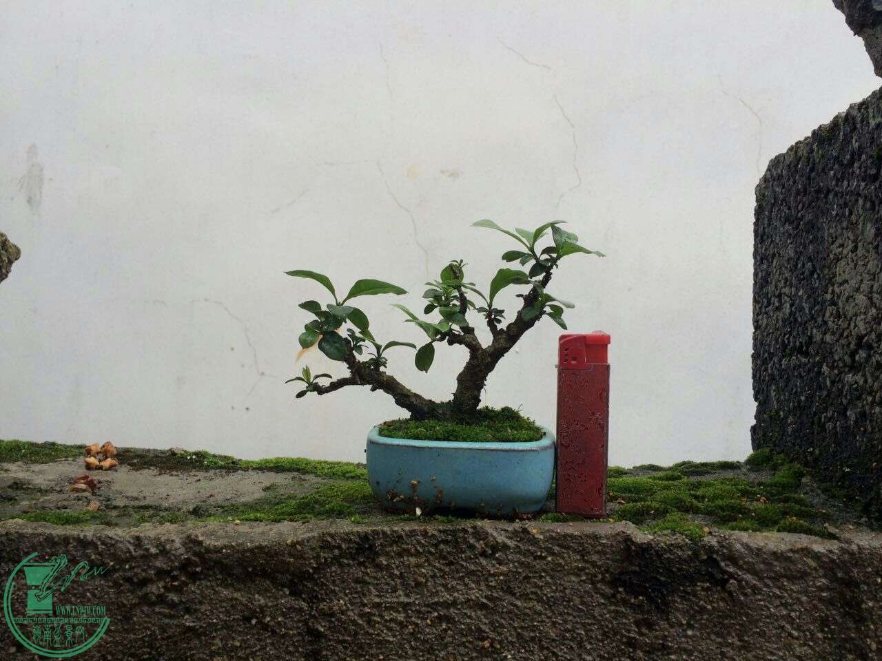 QQͼƬ20160429192734.jpg