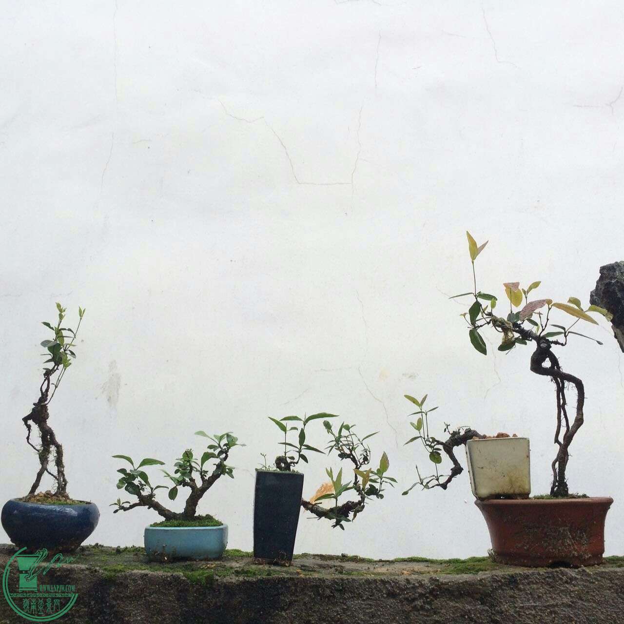 QQͼƬ20160429192423.jpg