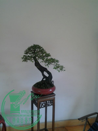 UC_Photo_029.jpg
