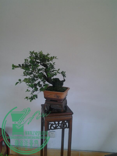 UC_Photo_030.jpg