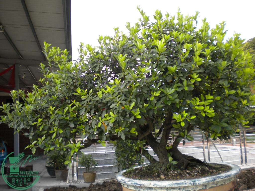 DSCN8277.JPG