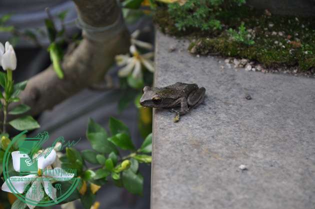 DSC_0183.JPG