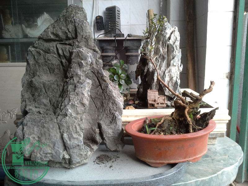 20160502_101628.jpg