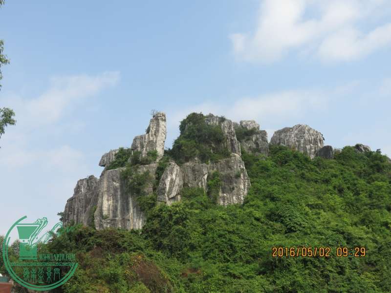 IMG_0003_conew1.jpg