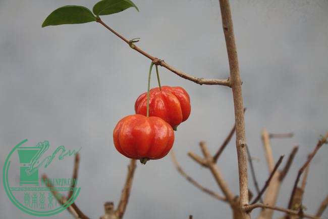 Ƭ20131026ۺ 1319.jpg
