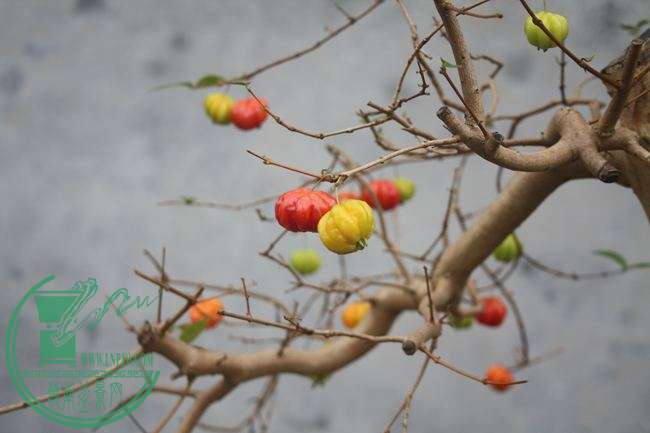 Ƭ20131026ۺ 1320.jpg