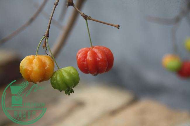 Ƭ20131026ۺ 1321.jpg