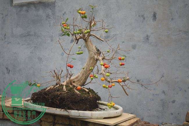 Ƭ20131026ۺ 1328.jpg