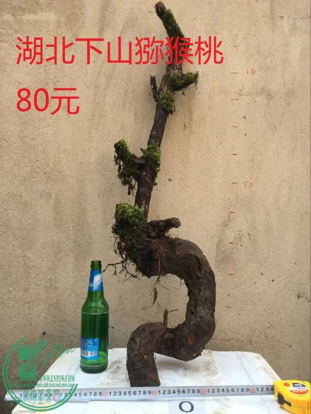 0.jpg