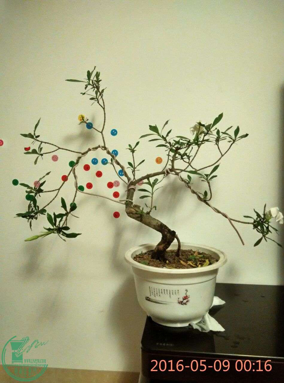 QQͼƬ20160509002809.jpg