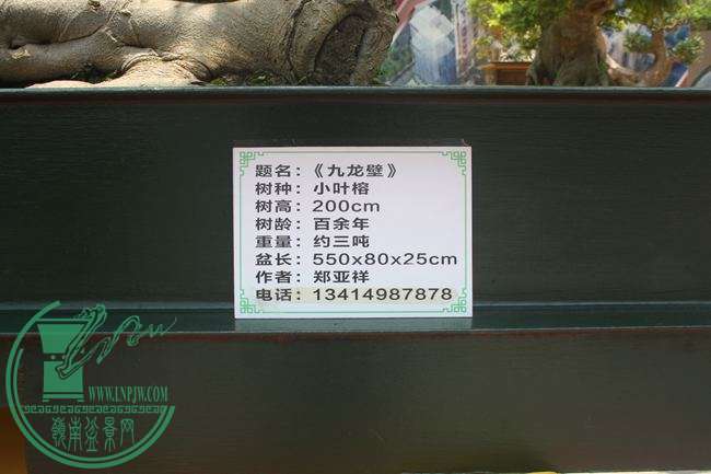 Ƭ 019.jpg