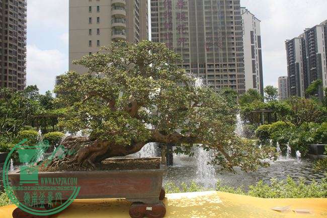 Ƭ 039.jpg
