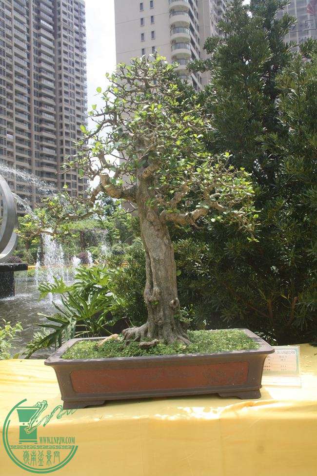 Ƭ 042.jpg
