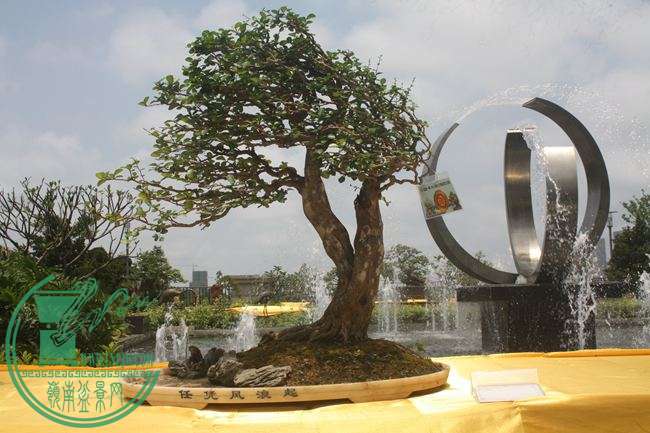 Ƭ 059.jpg