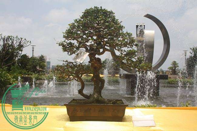 Ƭ 060.jpg