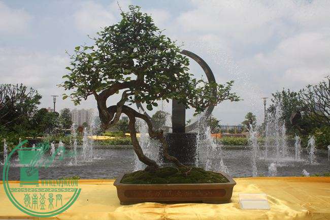 Ƭ 061.jpg