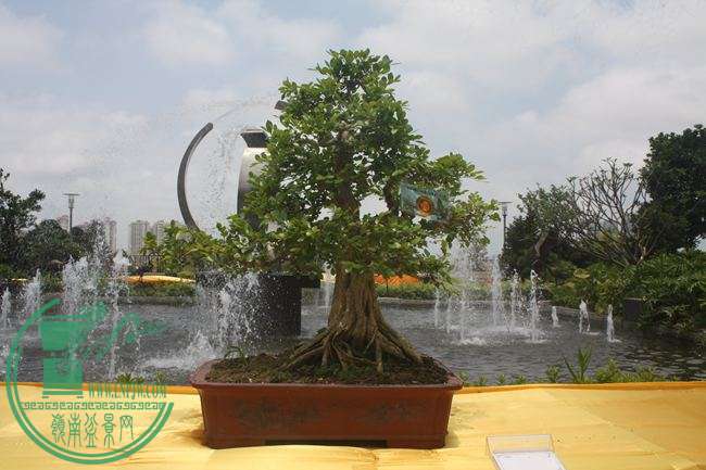 Ƭ 062.jpg