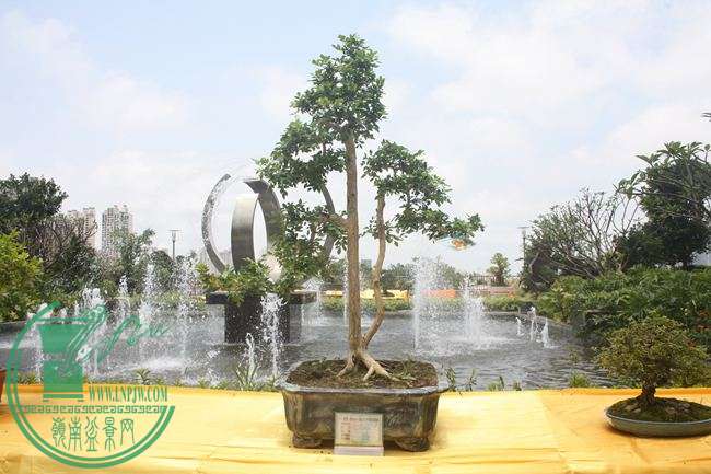 Ƭ 063.jpg