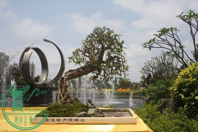 Ƭ 064.jpg